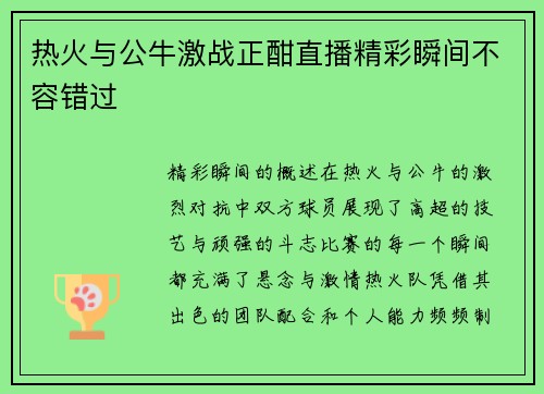 热火与公牛激战正酣直播精彩瞬间不容错过